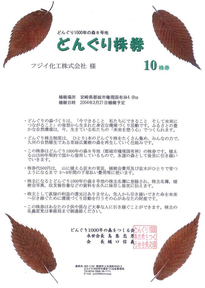 どんぐり株券